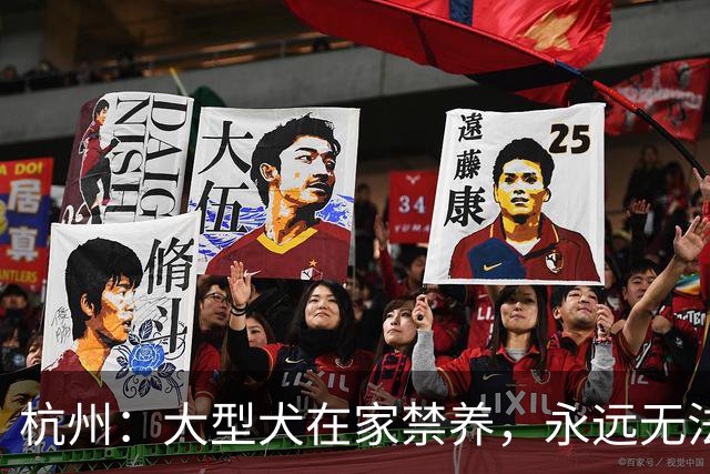 杭州：大型犬在家禁养，永远无法外出